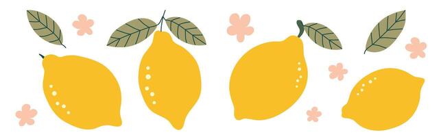 Hand drawn citrus set with lemons and leaves isolated on white background vector