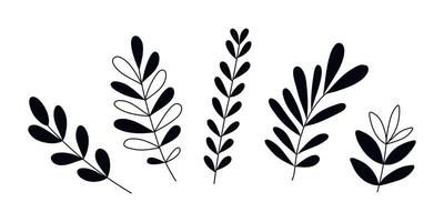 Hand drawn doodle leaves set isolated on white background vector