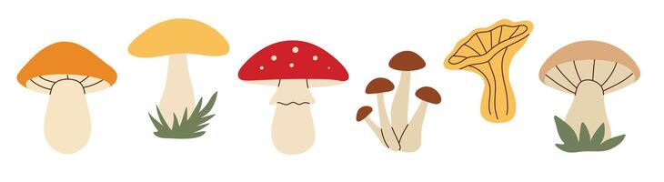 Simple flat style mushrooms set vector