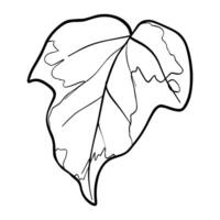Ivy leaf graphics. Sketch illustration plant painted by black inks. Linear drawing foliage on isolated. Line art style for greeting cards designs vector