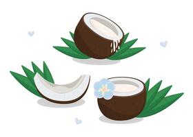 Three coconuts set, nuts with palm leaves, flower, milk and hearts, color illustration vector