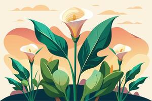 Regal calla lilies in a minimalist setting Illustration vector