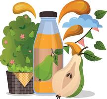 Fresh pear juice in glass bottle concept. Harvest festival poster design with pear. Invitation for crop fest. Green pear drop on juice splash and ripple vector