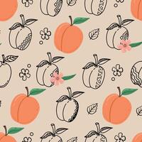 Peach fruit seamless pattern. Peach in cartoon and hand drawn style repeated backdrop. Whole fruit and cut half. Food template for background, textile, wrapping paper, wallpaper vector