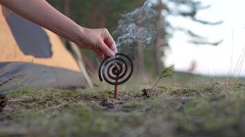 Woman installing burning mosquito repellent coil with smoke on dry tree twig in forest near tent video