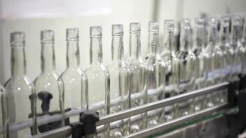 Filling of alcohol in glass bottles at the plant. Conveyor close-up. The production process of alcoholic beverages. Conveyor belt with glass bottles. video