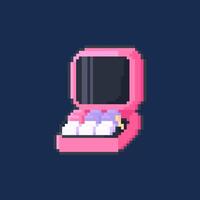 pixel art of an old pink computer vector