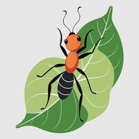 An Ant on Leaf on Tree vector