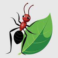 An Ant on Leaf vector