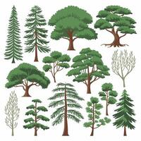 Tree Collection in Various Shapes vector