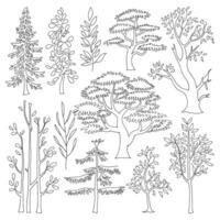 Tree sketch Collection in Various Shapes vector
