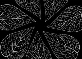 Biomorphism line leaf vector