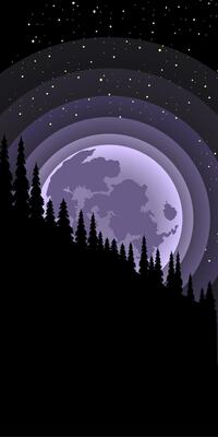Moon view in the night