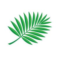 Palm leaf, showcasing its vibrant green color and intricate vein patterns isolated flat illustration on white background. vector