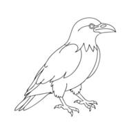 Crow bird line art isolated flat illustration on white background vector