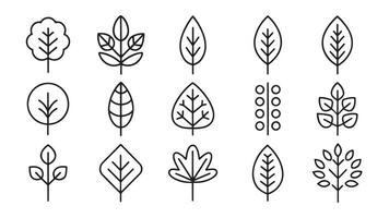Trees and plants related Minimalist Black Line 15pcs icons set isolated on white background. vector