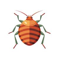 Bed Bug insect isolated flat illustration white background vector