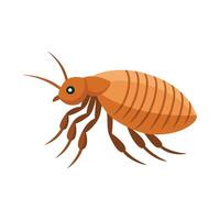 Flea insect isolated flat illustration white background vector