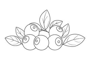 Blueberries continuous line art isolated flat illustration on white background. vector