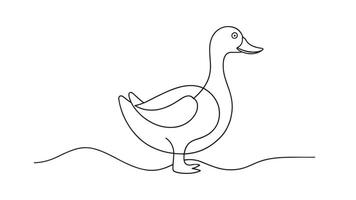 Duck continuous line art isolated on white background. vector