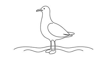 Seagull continuous line art isolated on white background vector
