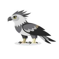 Harpy Eagle bird isolated flat illustration on white background vector