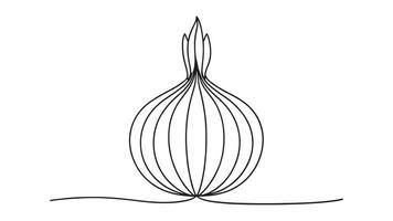 Onion continuous line art isolated on white background vector