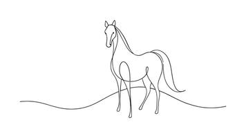 Horse continuous line art isolated on white background. vector