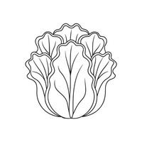 Chinese cabbage continuous line art isolated on white background. vector