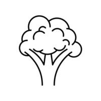 broccoli icon design line style vector