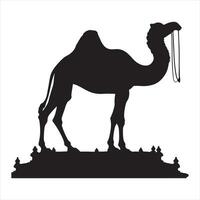 Camel silhouette on white background vector