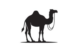 a camel is standing in front of a white background vector