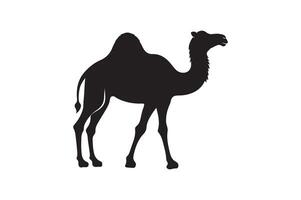 a camel silhouette on a white background vector