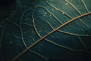 Close-up of a textured green leaf showcasing intricate veins and golden specks in natural light photo