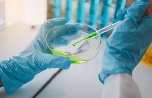 Female researchers are experimenting with pipette dropping a sample into a test tube in an experiment research in laboratory.. photo