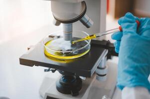 Female researchers are experimenting with pipette dropping a sample into a test tube in an experiment research in laboratory.. photo
