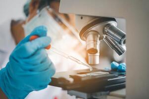 Female researchers are experimenting with pipette dropping a sample into a test tube in an experiment research in laboratory.. photo