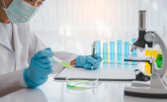 Female researchers are experimenting with pipette dropping a sample into a test tube in an experiment research in laboratory.. photo