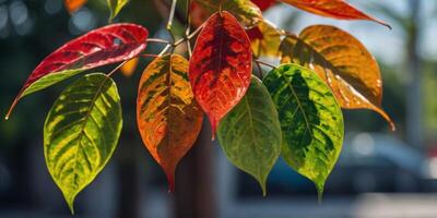 A playful arrangement of oversized brightly colored solarpaneled leaves providing shade while generating energy. photo