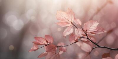 Serene pink leaves with soft glowing particles. photo