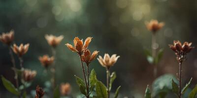 Abstract botanical image with earthy tones and organic shapes. photo