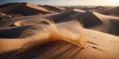A vast desert where the sand dunes shift and change shape with the wind. photo