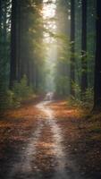 A forest where the ground is made of clouds and the trees glow with energy. photo