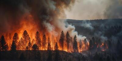 Devastating pine forest fire high smoke and orange flames seen from above in a natural disaster. photo