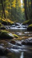 A crystal-clear river running through a dense forest, with a spotlight on an empty stone. photo