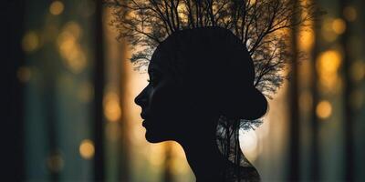 silhouette of a head with the forest in inside. photo
