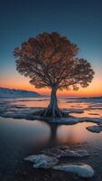 A tree with roots that glow like lava, growing in the middle of a frozen ocean. photo