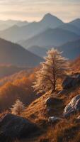 A mountain range that sings with the wind, producing harmonies that change with the seasons. photo