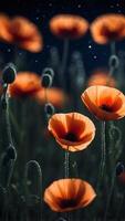 A field of glowing poppies under a midnight sky lit by a distant comet. photo
