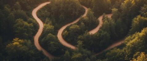 Aerial View of a Winding Dirt Road Through a Dense Forest. photo